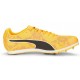 PUMA evoSPEED STAR 8 SUN STREAM-SUNSET