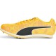 PUMA evoSPEED STAR 8 SUN STREAM-SUNSET