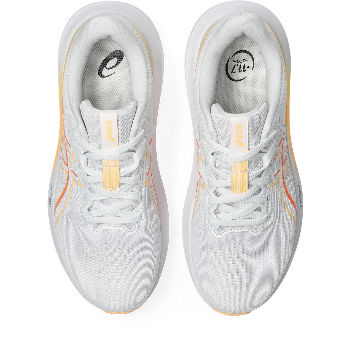 ASICS GT 1000 15- DONNA
