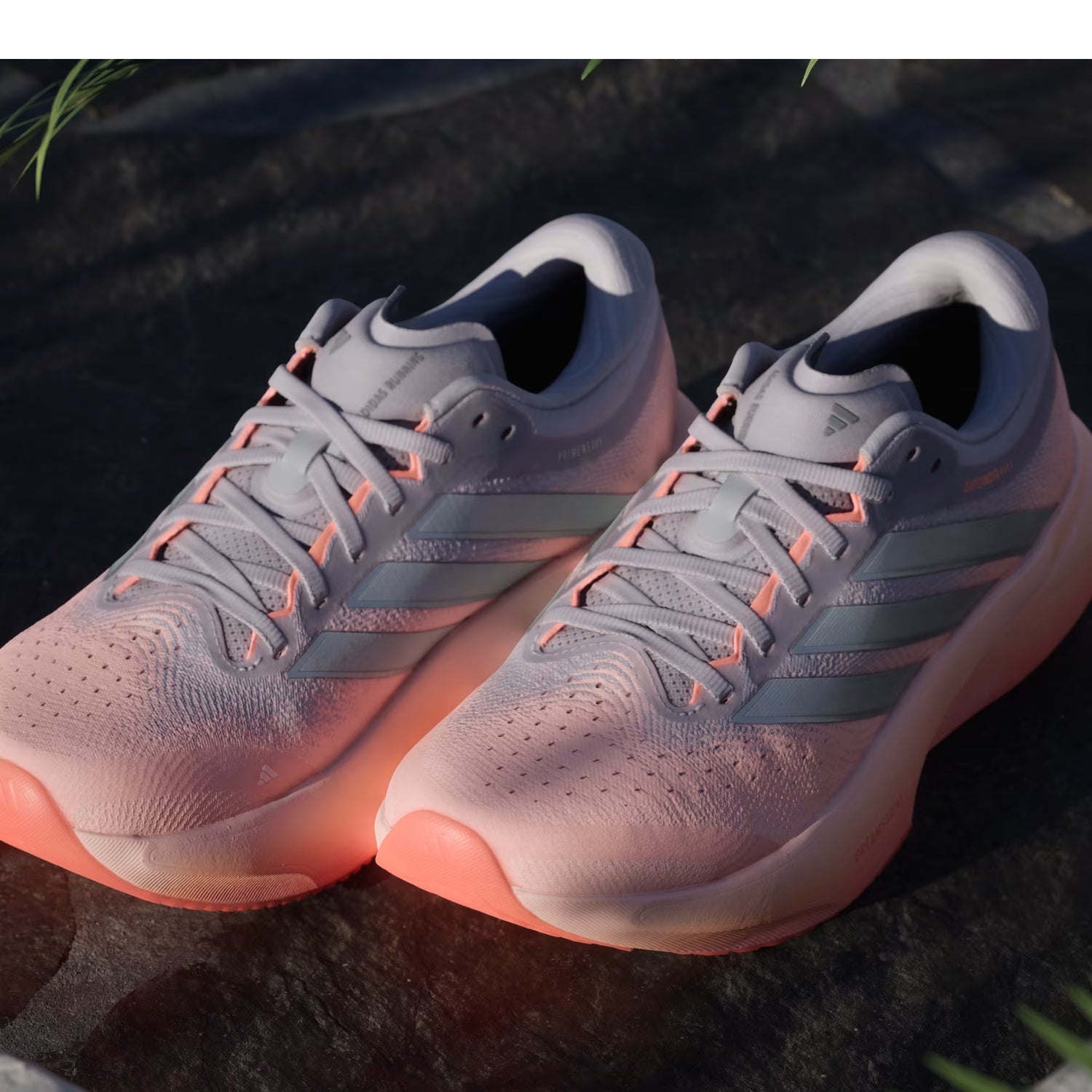 Adidas SUPERNOVA RISE 3 donna
- Clear Orange / Silver Metallic / Glory Grey