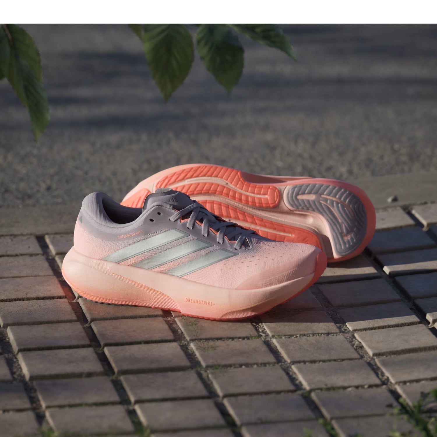 Adidas SUPERNOVA RISE 3 donna
- Clear Orange / Silver Metallic / Glory Grey