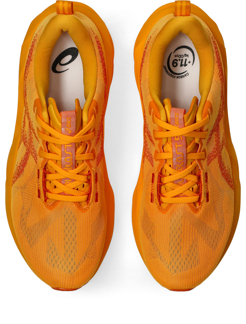 ASICS NOVABLAST 5 -
800 YAMABUKI/ANZU